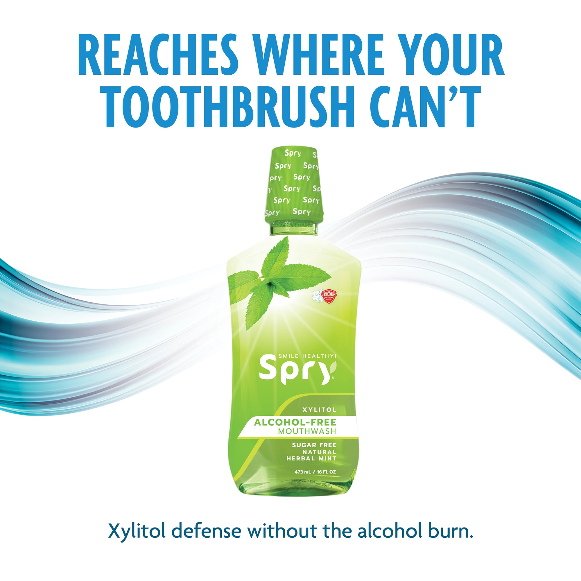 Xlear® Herbal Mint Mouthwash – Alcohol-Free with Healing Botanicals