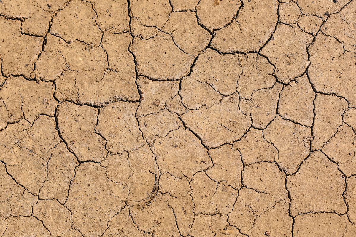 Dry Mouth Relief 101: Why It Happens And How To Combat It