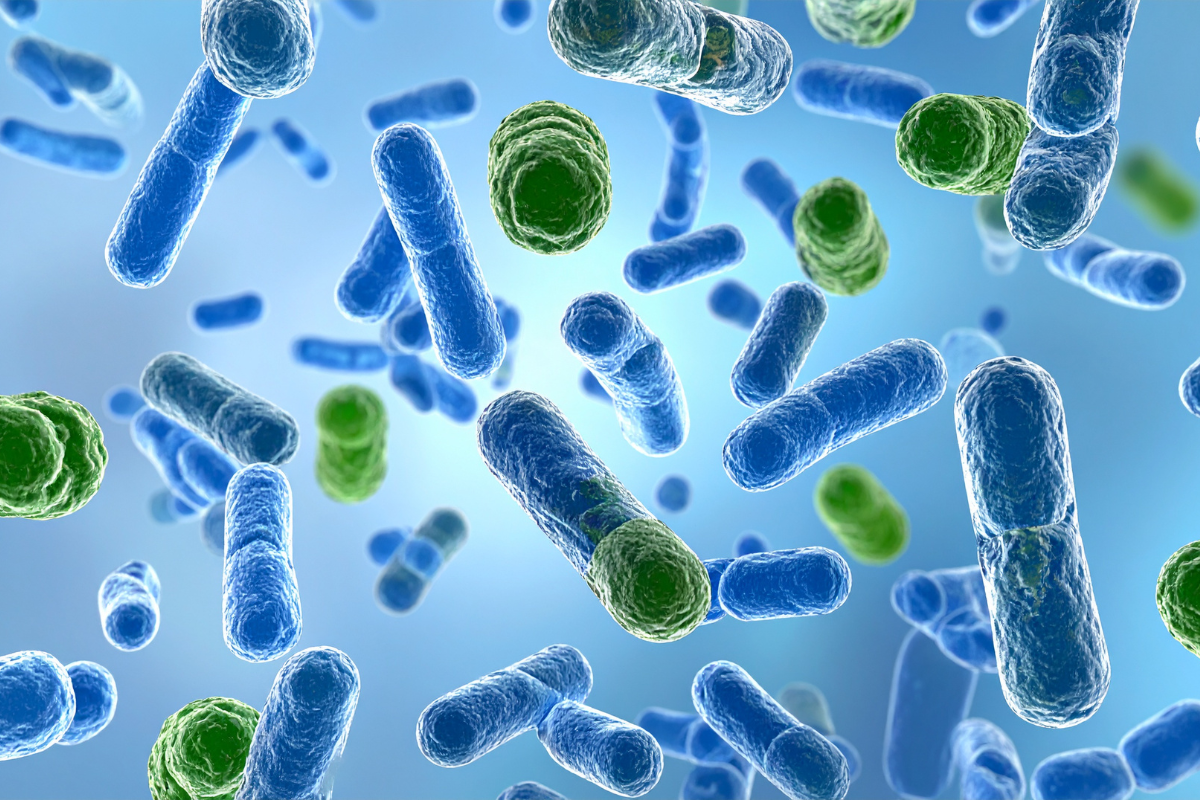 Your Mouth's Hidden Ecosystem: Why Working WITH Your Bacteria Beats Fighting Against Them