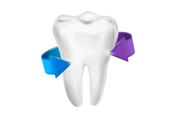 Xylitol and Erythritol Working Together to Improve Oral Health